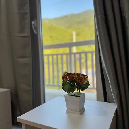Nature Villa *